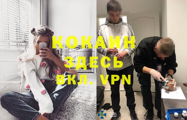 твердый Гатчина