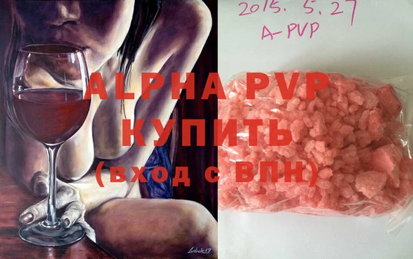 прущие грибы Гвардейск