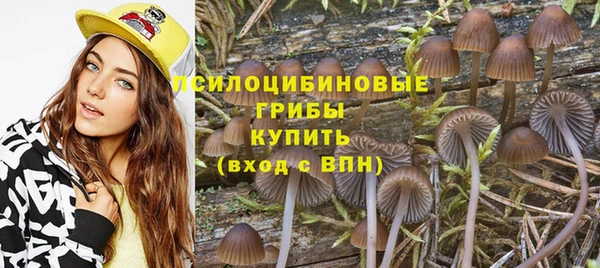 каннабис Аркадак