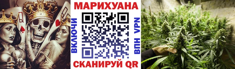 Каннабис конопля  Жиздра 